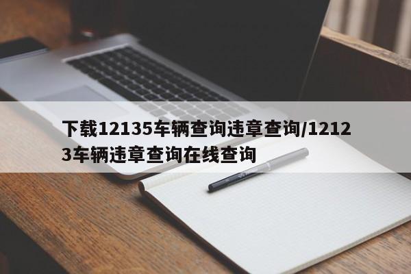 下载12135车辆查询违章查询/12123车辆违章查询在线查询