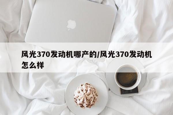 风光370发动机哪产的/风光370发动机怎么样