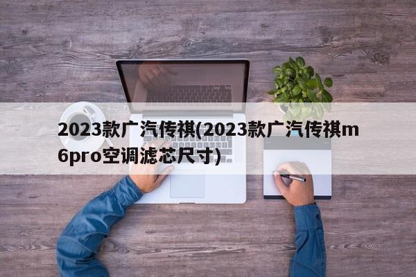 2023款广汽传祺(2023款广汽传祺m6pro空调滤芯尺寸)